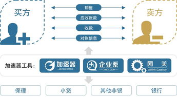 系統(tǒng)確權在供應鏈金融中的應用